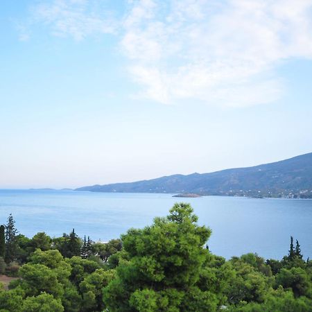 Maria Studios Poros Town المظهر الخارجي الصورة